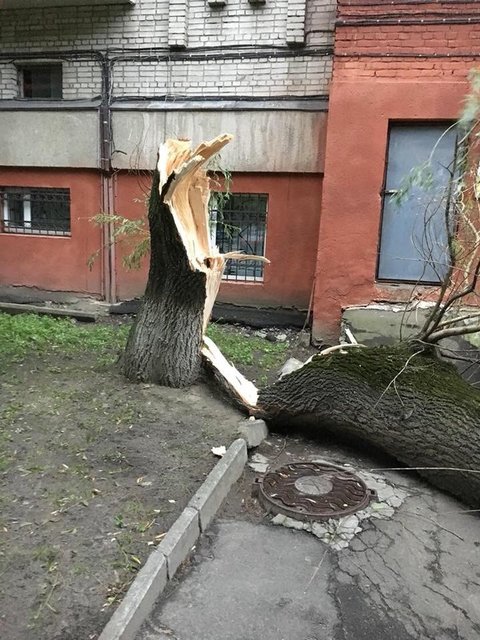 Непогода во Львовской области. Фото: Facebook.com
