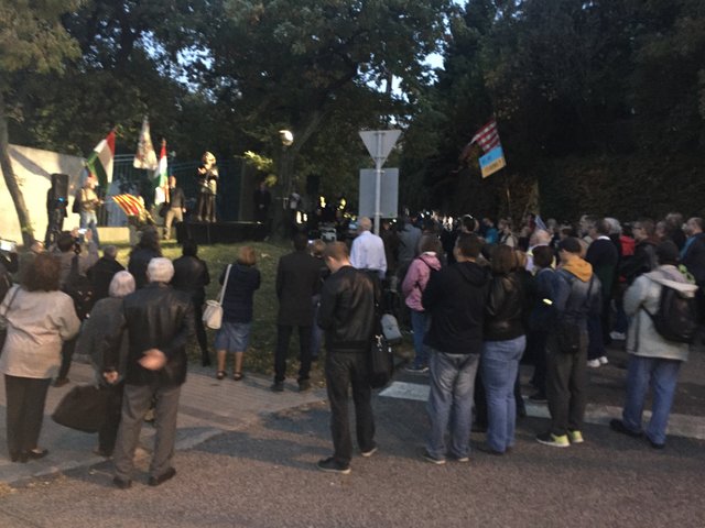 Митинг под посольством Украины в Венгрии, фото К.Зеленюк/Сегодня
