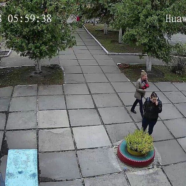 <p>Передбачувана крадійка дитини з дитячого саду в Києві. Фото: Олег Веремієнко в Facebook</p>