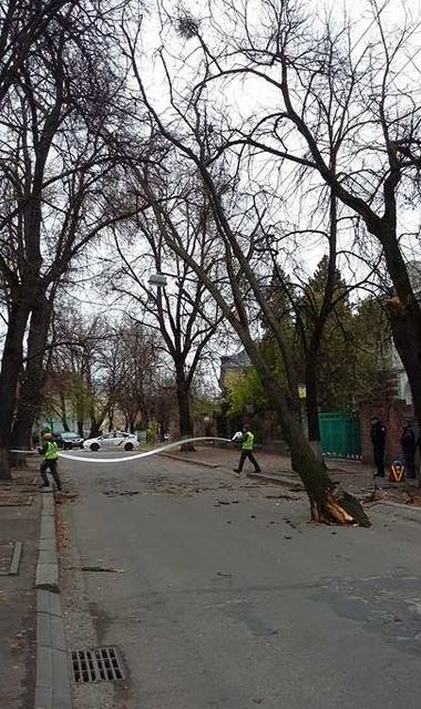Непогода "наломала дров". Фото: ГСЧС, galka.if.ua, соцсети