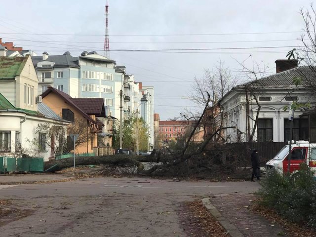 <p>Негода "наламала дрів". Фото: ДСНС, galka.if.ua, соцмережі</p>