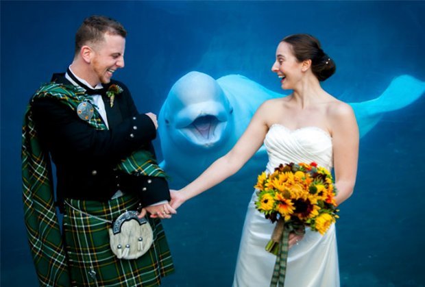 Смешная свадьба. Фото: соцсети