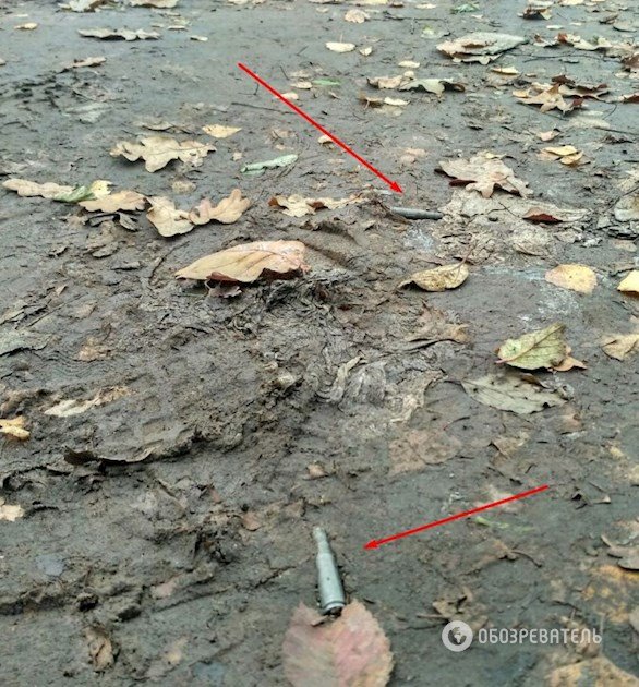 <p>На місці вбивства Аміни Окуєвої знайшли російські холості патрони. Фото из Facebook</p>
