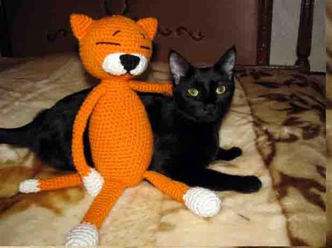 Харуо – рыжий мартовский кот. Его обожает кошка Капля, фото Е.Юзефчук