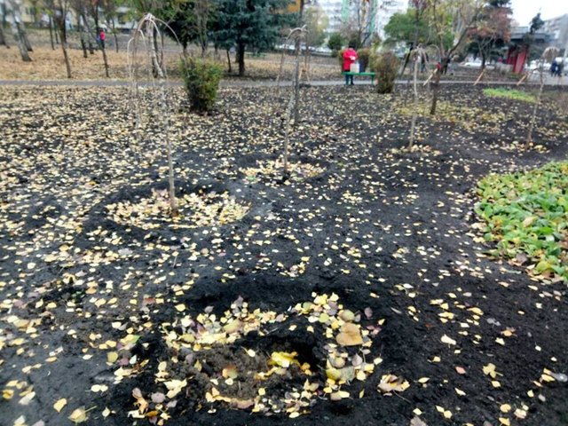 Их сквера похитили растения. Фото: КП СЗН Подольского района