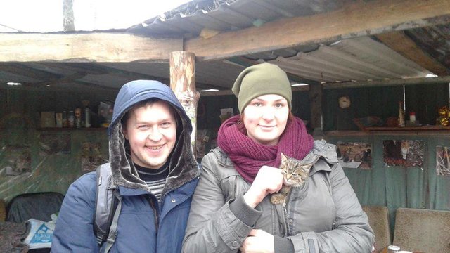 <p>Котики повеселішали і стали грайливими. Фото: facebook.com/zoocatskyiv</p>