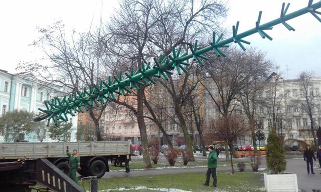 На Подоле уже ставят елку. Фото: КП СЗН Подольского района