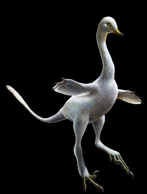 <p>Динозавр, схожий на качку. Фото: AFP</p>