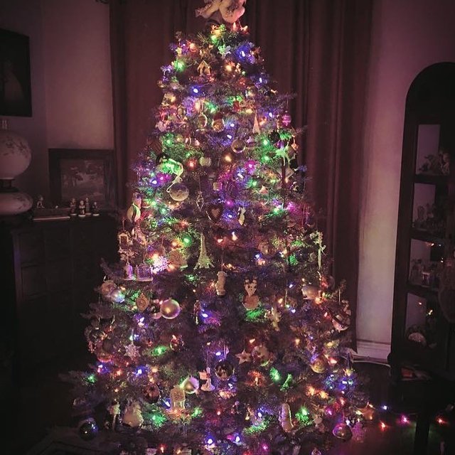 Наряжайте елку правильно. Фото: Instagram