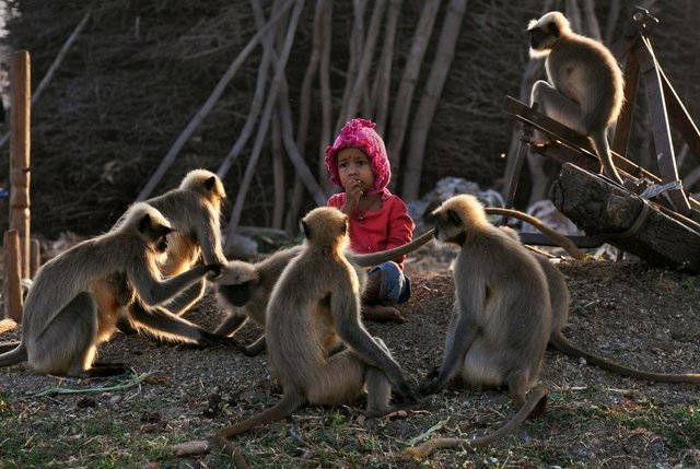 Современный Маугли. Фото: AFP