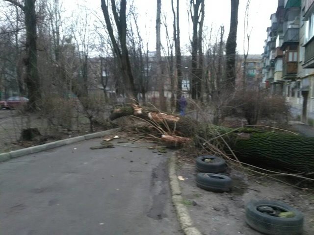 <p>Дерево розпиляли і звільнили проїзд. Фото: facebook.com/KARS.Kyiv</p>