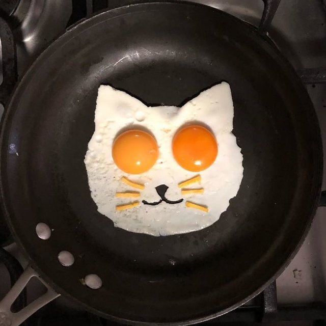 Картины из жареных яиц Фото: eggshibit
