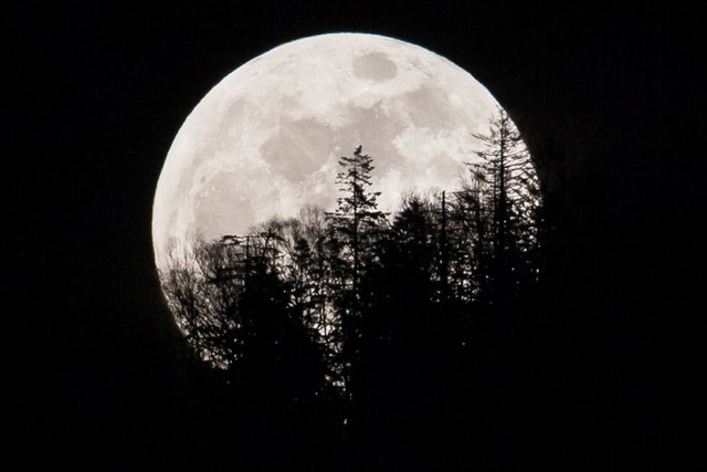 Голубая Луна в мире. Фото: Getty