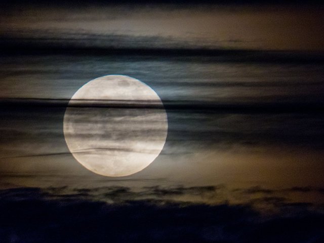 Луна выглядит намного больше и ярче. Фото: Любовь Карташова