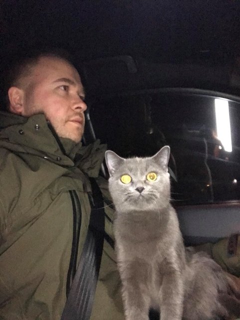 Кот стал охранять рыбу. Фото: Vladimir Mukhin
