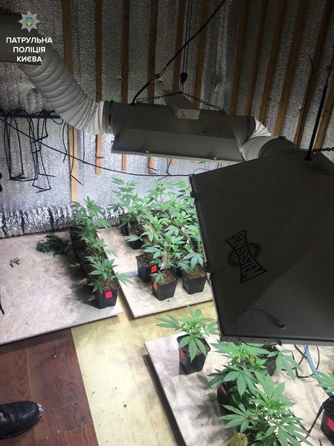 <p>Підвал для вирощування наркотичних рослин. Фото: facebook.com/patrolpolice.gov.ua</p>