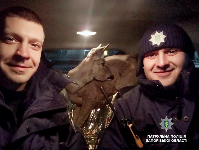 Фото: патрульная полиция Запорожской области