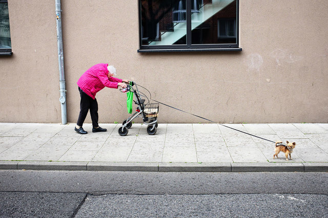 Пожилая дама с собачкой.  | Фото: Фото Manuel Armenis | Sony World Photography Awards 2018