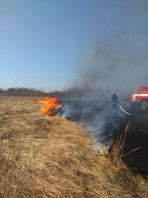 <p>Найчастіша причина таких пожеж – людський фактор. Фото: kyivobl.dsns.gov.ua</p>