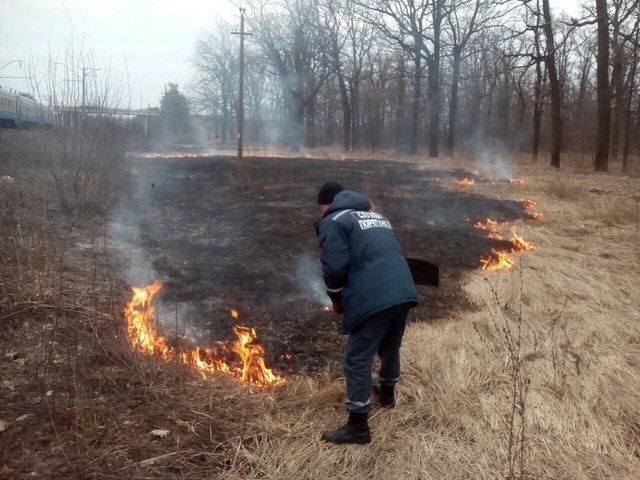 Зачастую причина таких пожаров – человеческий фактор. Фото: kyivobl.dsns.gov.ua