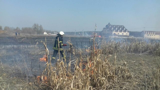 Спасатели ликвидировали 52 возгорания. Фото: kyivobl.dsns.gov.ua