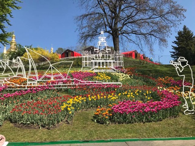 В Киеве открывается выставка тюльпанов. Фото: facebook.com/zelenbud