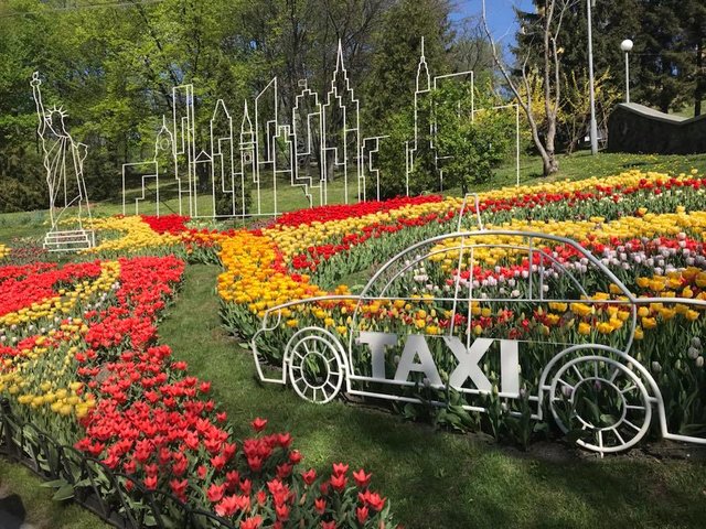 У Києві відкривається виставка тюльпанів. Фото: facebook.com/zelenbud