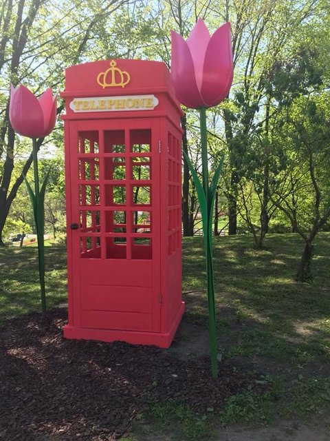 У Києві відкривається виставка тюльпанів. Фото: facebook.com/zelenbud