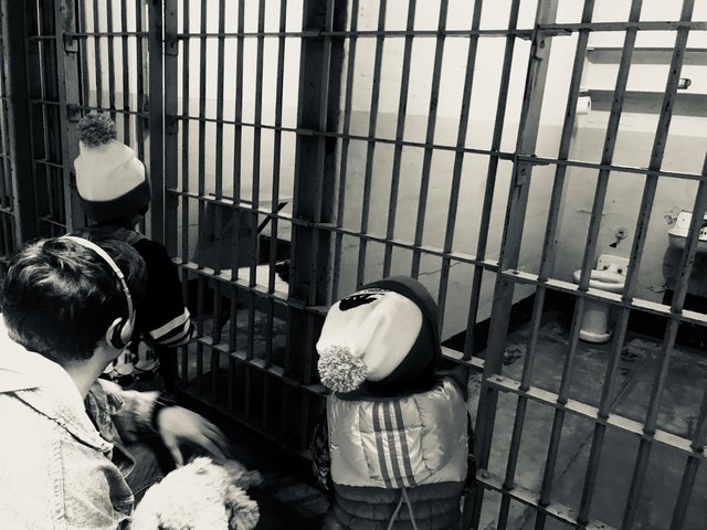 Анатолій Анатоліч відвіз дітей до в'язниці Алькатрас | Фото: Фото: соцсети