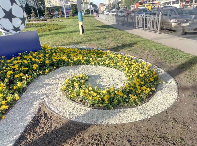 У 10 районах Києва з'являться квіткові композиції. Фото: facebook.com/zelenbud