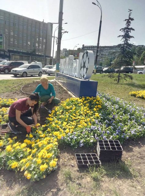 В 10 районах Киева появятся цветочные композиции. Фото: facebook.com/zelenbud