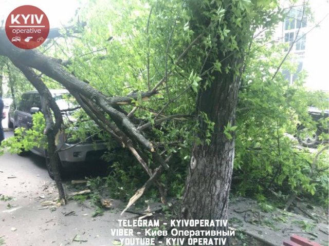 Дерево повредило машину. Фото: facebook.com/KyivOperativ