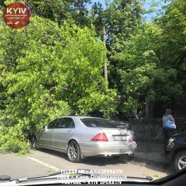 Дерево повредило машину. Фото: facebook.com/KyivOperativ