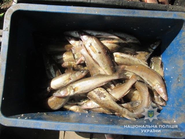 Полиция изъяла рыбу у браконьеров. Фото: kv.npu.gov.ua