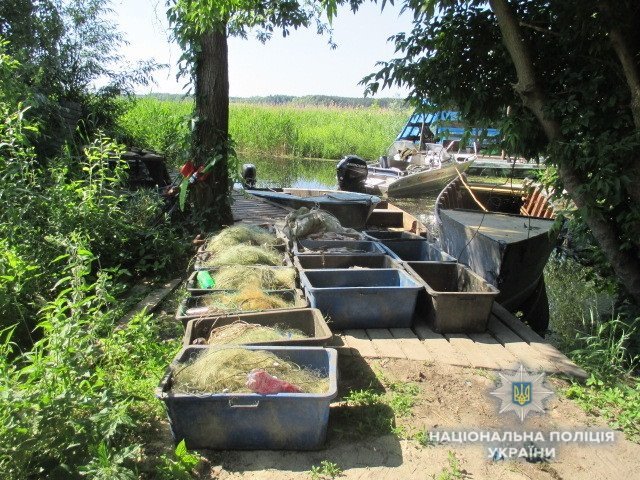Полиция изъяла рыбу у браконьеров. Фото: kv.npu.gov.ua