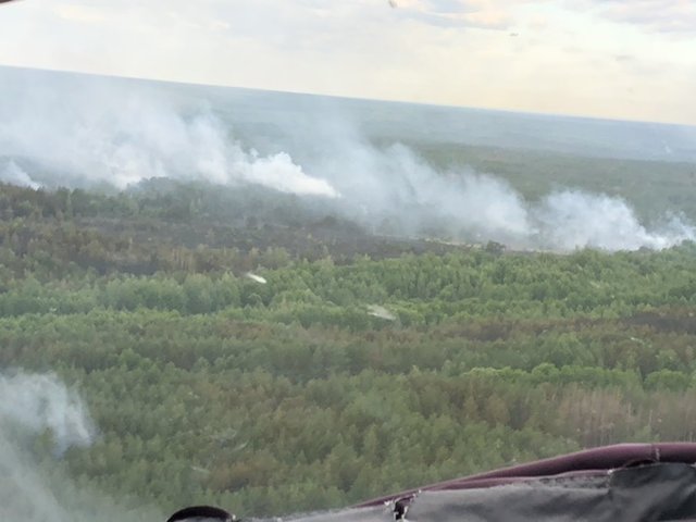 Пожежа в Чорнобильській зоні. Фото: dsns.gov.ua