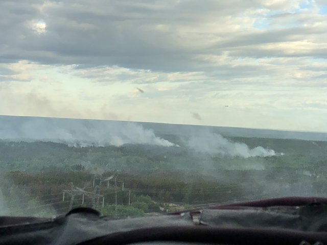 Пожежа в Чорнобильській зоні. Фото: dsns.gov.ua