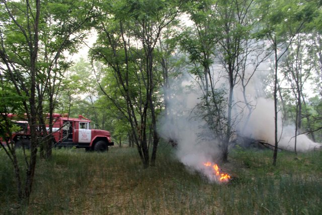 Пожежу в Чорнобилі продовжують гасити. Фото: kyivobl.dsns.gov.ua
