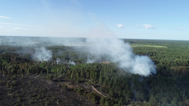 Пожежу в Чорнобилі продовжують гасити. Фото: kyivobl.dsns.gov.ua