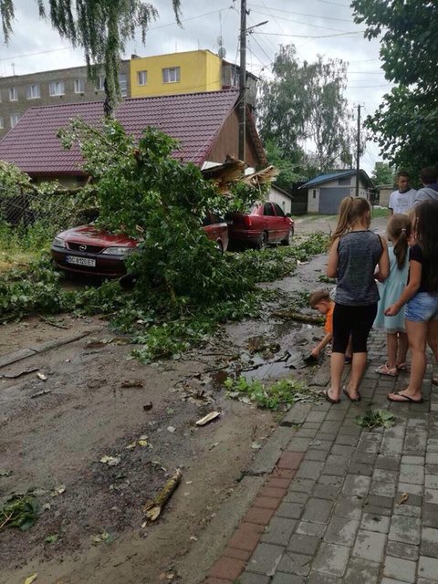 Непогода во Львовской области. Фото: соцсети