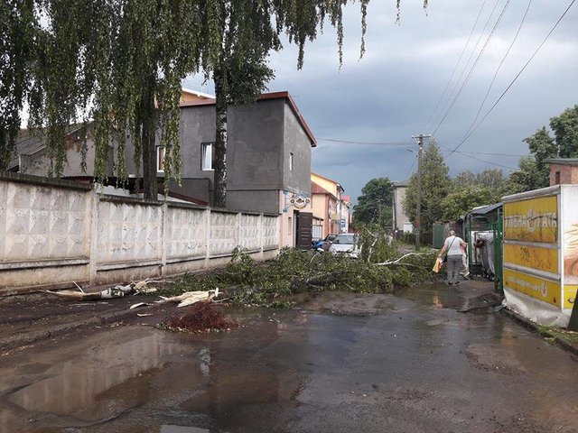 Непогода во Львовской области. Фото: соцсети