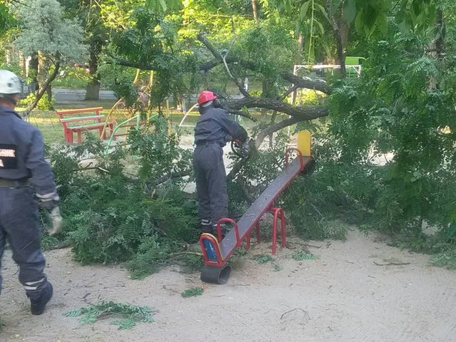 Дерево упало на площадку. Фото: facebook.com/KARS.Kyiv, Альона Салюк (‎МІЙ ВІДРАДНИЙ)