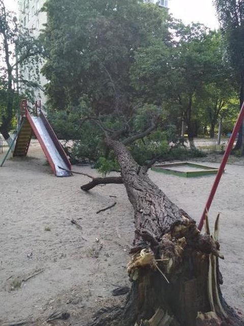 Дерево упало на площадку. Фото: facebook.com/KARS.Kyiv, Альона Салюк (‎МІЙ ВІДРАДНИЙ)