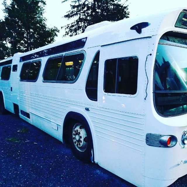 Автобус перетворився в комфортний будинок. Фото: instagram.com/thebustinyhome