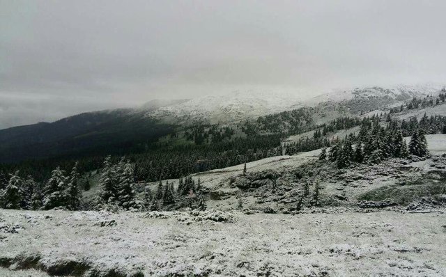 В Карпатах выпал снег. Фото: facebook.com/chornogora.rescue112