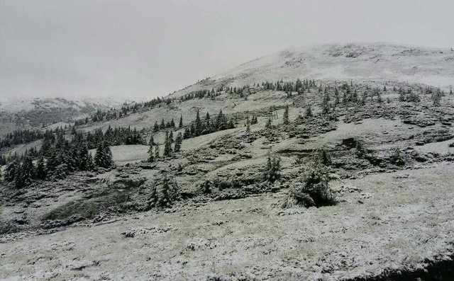 У Карпатах випав сніг. Фото: facebook.com/chornogora.rescue112