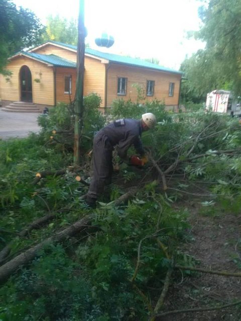 На Сосниных. Спасатели разрезали упавшее дерево. Фото: КАСС