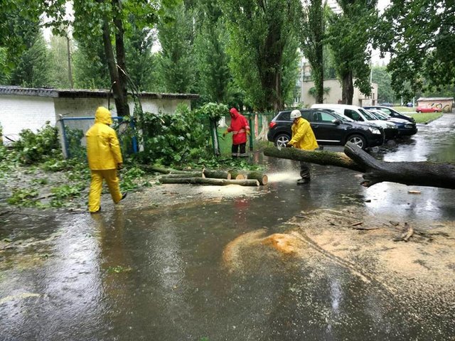На Сосніних. Рятувальники розрізали дерево, що впало. Фото: КАСС
