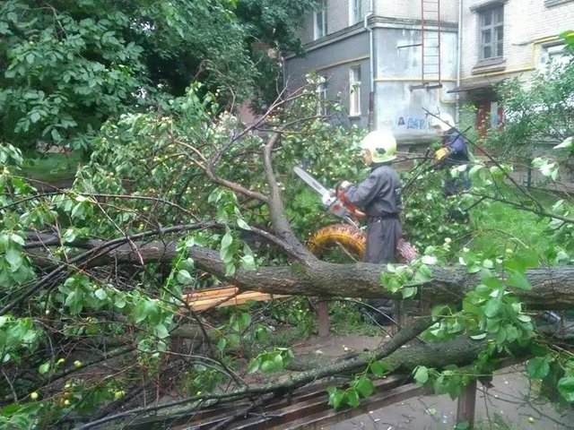 На Сосніних. Рятувальники розрізали дерево, що впало. Фото: КАСС