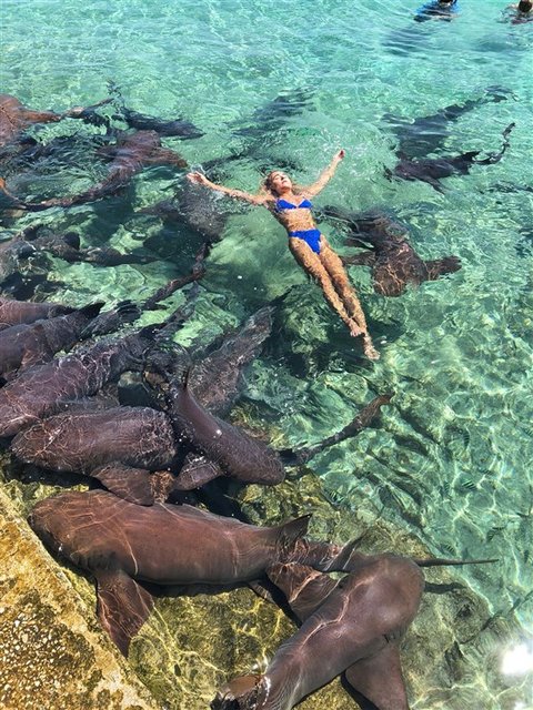 Акула напала на девушку. Фото: Katarina Zarutskie/Instagram